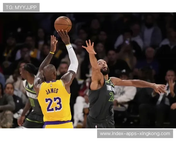 戈贝尔双手封盖镇守禁区，让对手完全无计可施